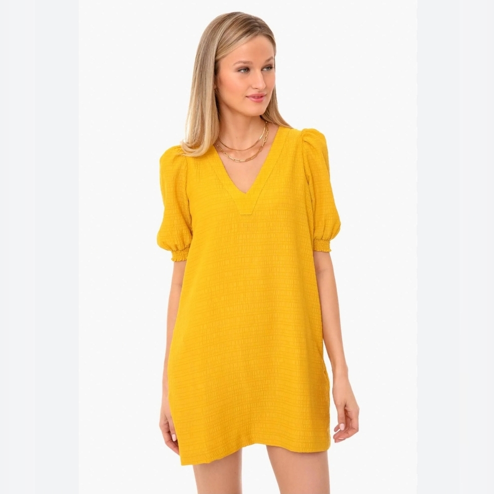 Steve Madden BB Dakota Festival Dress Medium NWT